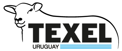 Sociedad de Críadores de Texel del Uruguay